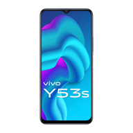 vivo model061